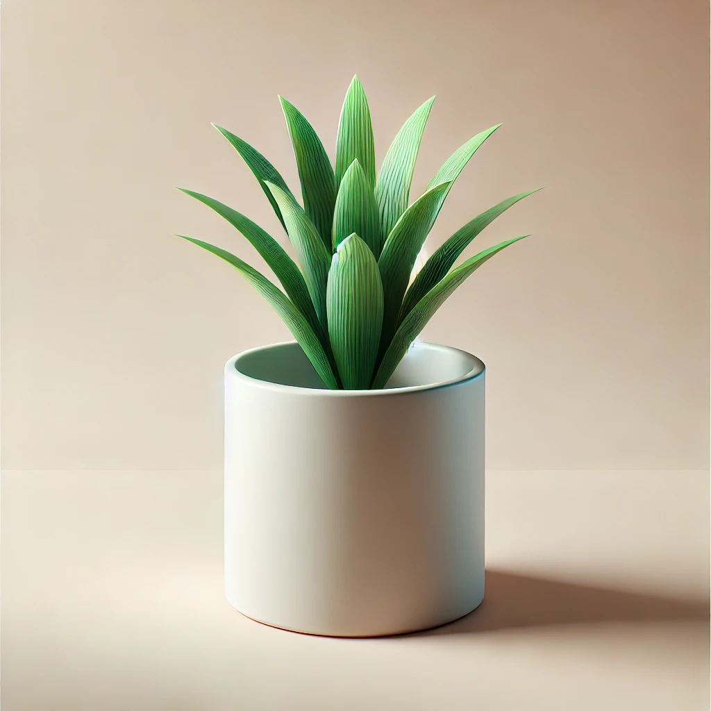 화분 모양 미리보기